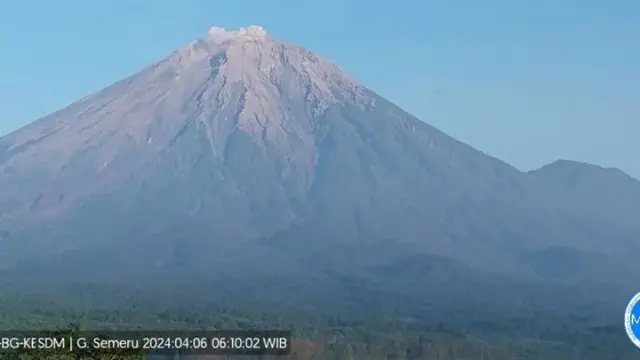 MEGABERITA - Gunung Semeru Kembali Erupsi, Tinggi Letusan Capai 700 Meter